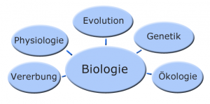 Mind-Map Biologie
